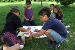 img_1249235138_817