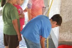 img_1249490029_486