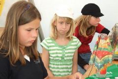 img_1249476572_66