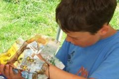 img_1249478916_545