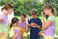 img_1249835248_795