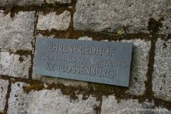 img_1249928730_59