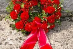 img_1249928902_774
