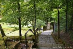 img_1249929006_401