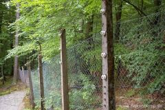 img_1249929025_727