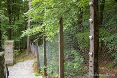 img_1249929042_303
