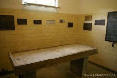 img_1249929085_176