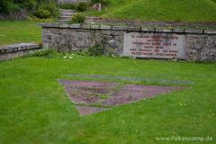 img_1249929111_359