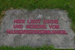 img_1249929155_316