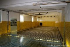 img_1249929411_59