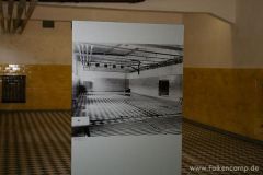 img_1249929421_911