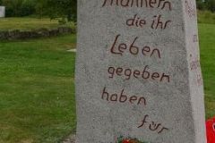 img_1249929499_998