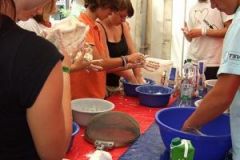 img_1249992932_690
