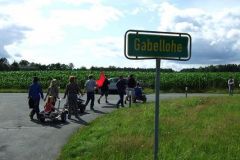 img_1248549336_174