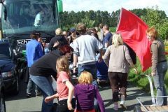 img_1248549396_526