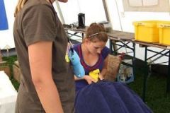 img_1248551631_986