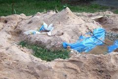 img_1248552369_636