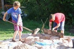 img_1248632000_415