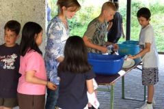 img_1248632271_83
