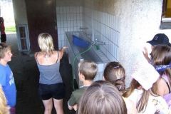 img_1248632294_59