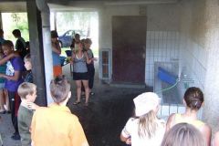img_1248632311_280