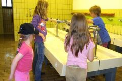 img_1248632424_101