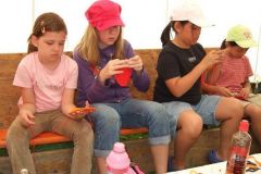 img_1248788952_182