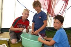 img_1248952167_496