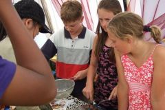 img_1249063570_434