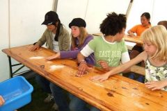 img_1249043170_560