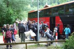 img_1281208261_747