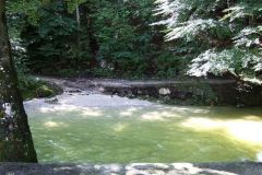 img_1281269385_346