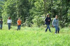 img_1281269419_214