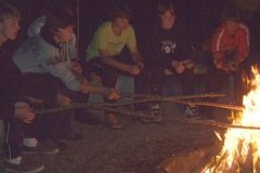 img_1281384849_73