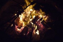 img_1281384899_690