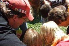img_1281368335_707