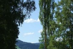 img_1281368373_622