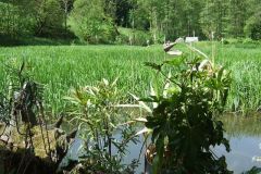 img_1277466752_208