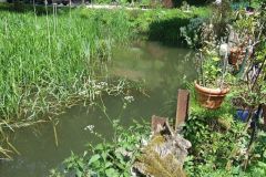 img_1277466773_917
