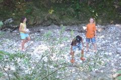 img_1281455612_668