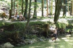 img_1281455626_547