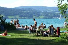 img_1281455639_877