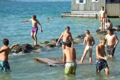 img_1281455681_268