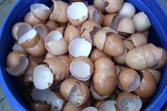 img_1281445812_497
