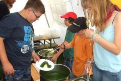 img_1281445839_337