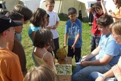 img_1281541462_19