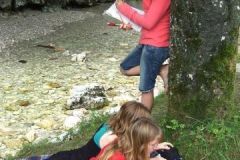img_1281522102_377