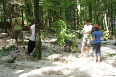 img_1281616919_637
