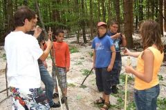img_1281616956_664
