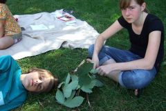 img_1281811470_453